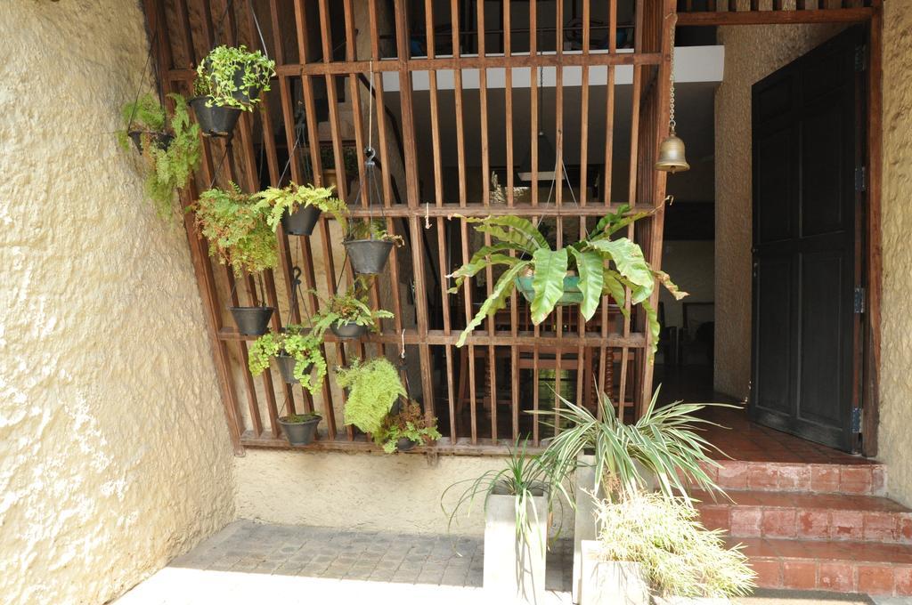 Nawala Bangalawa B&B 외부 사진